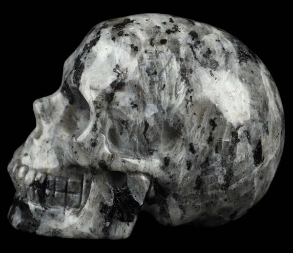 Skull Larvikite